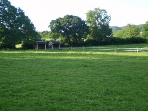 Birch Farm Paddock