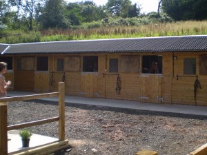 Birch Farm Stables