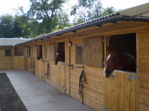 Birch Farm Riding School