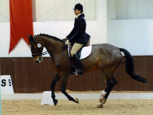 Mikita Dressage