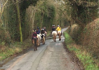 Pony trekking