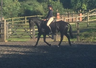 Riding school arena