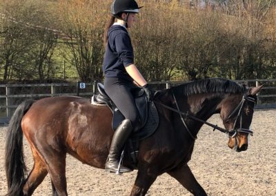 Riding School Herefordshire