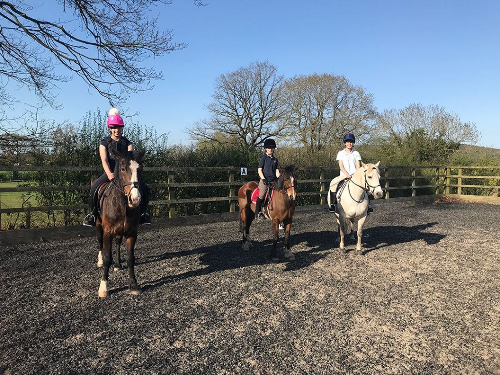 Birch Farm Riding School Birch Farm Livery