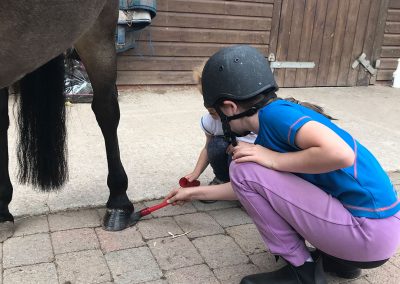 Cleaning hooves