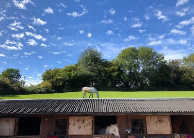 Stables and field