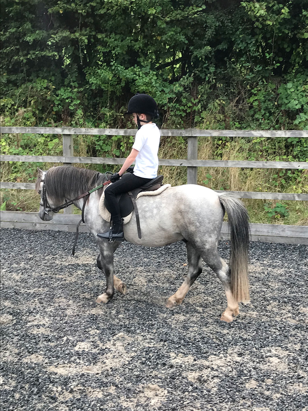 Young child riding lesson